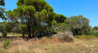 Land of 4260 sq.m For Sale in Planos